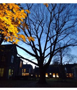 Weldadige Winterwandelingen